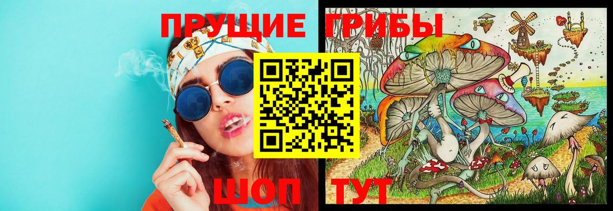 Псилоцибиновые грибы MAGIC MUSHROOMS  Вход с VPN  Еманжелинск 